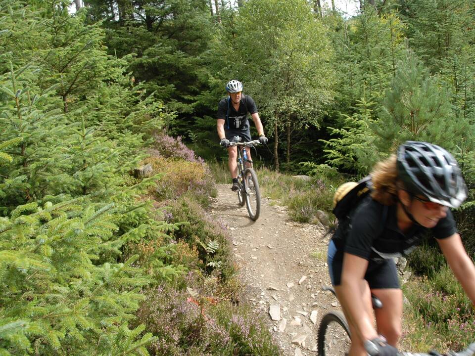 Mountain Biking Gwydyr Forest Snowdonia North Wales
