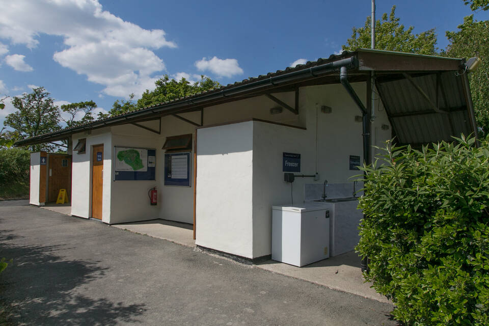 2025 Purple Showerblock