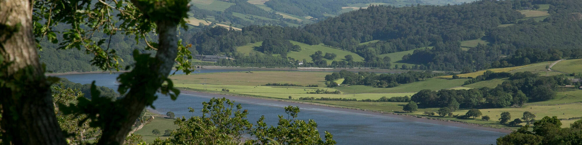 River through top meadow